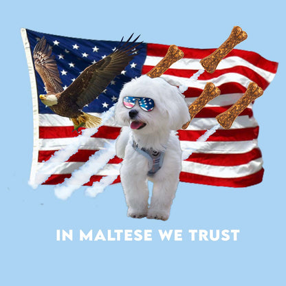 In Malteses We Trust - Adult Unisex T-Shirt