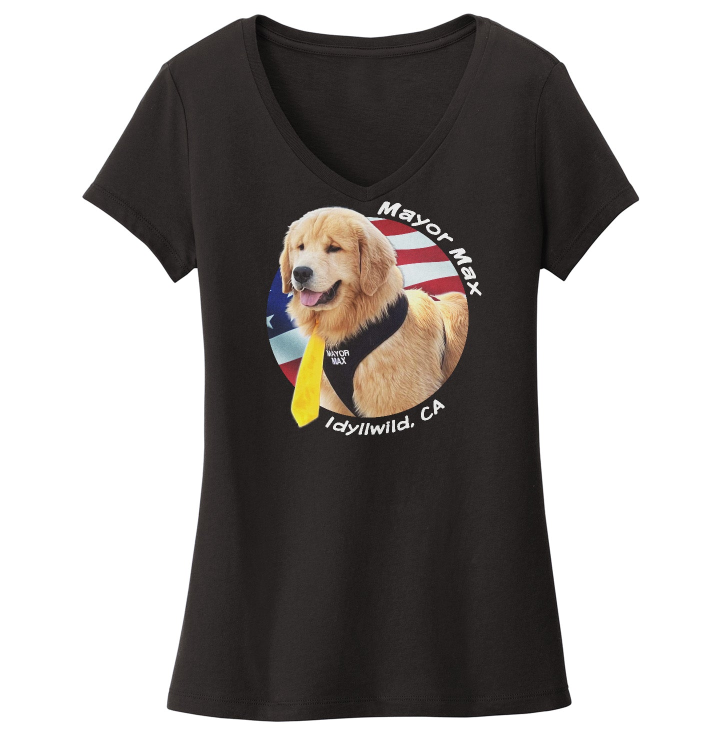 Mayor Max USA Flag Circle - Women's V-Neck T-Shirt
