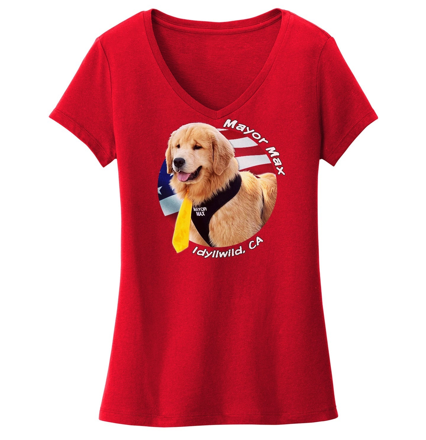 Mayor Max USA Flag Circle - Women's V-Neck T-Shirt