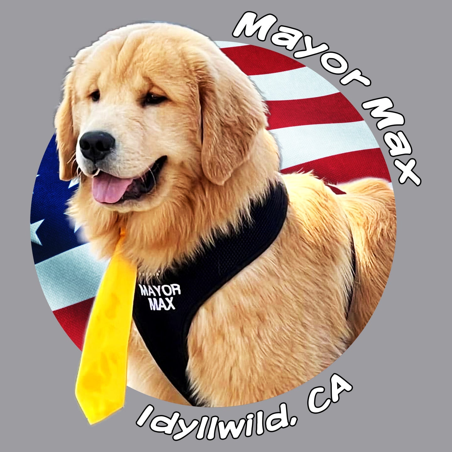 Mayor Max USA Flag Circle - Adult Unisex Long Sleeve T-Shirt