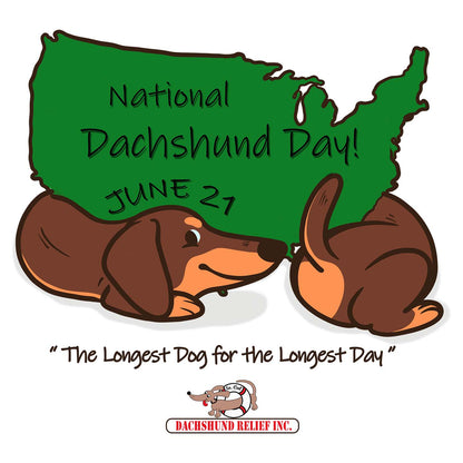 National Dachshund Day - Women's V-Neck Long Sleeve T-Shirt