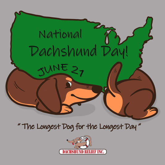 National Dachshund Day - Women's V-Neck T-Shirt