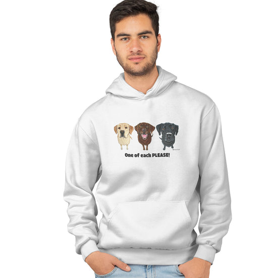 Black Lab, Yellow Lab, Chocolate Lab Hoodie