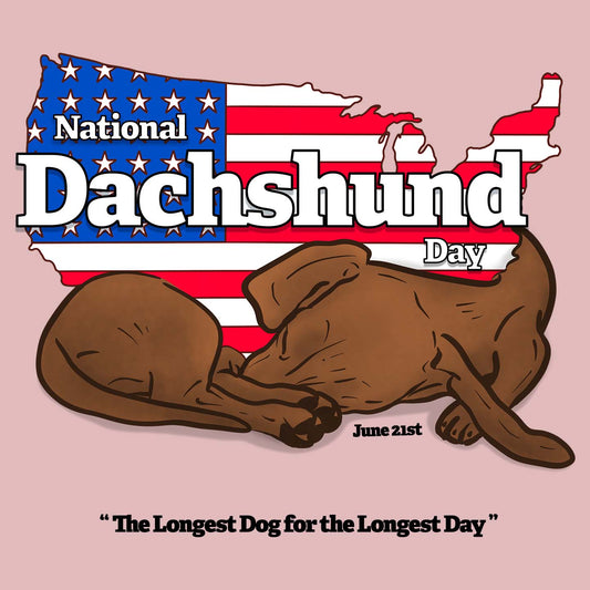 National Dachshund Day US Flag - Women's Fitted T-Shirt