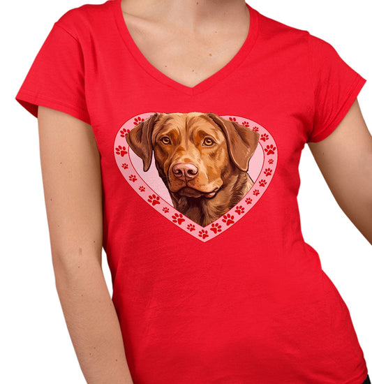 Chesapeake Bay Retriever Illustration In Heart - Women's V-Neck T-Shirt