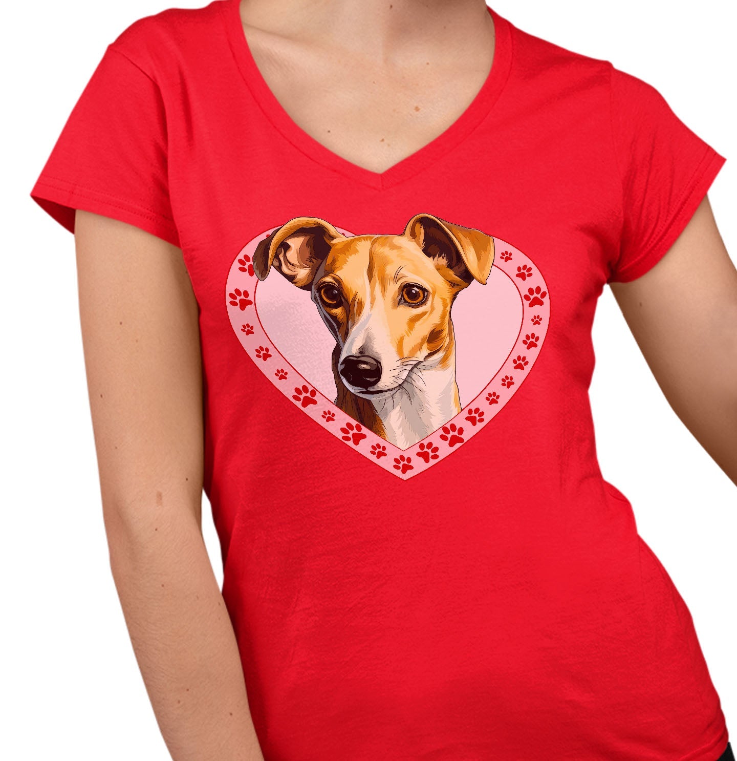 Greyhound (Fawn & White) Illustration In Heart - Women's V-Neck T-Shirt
