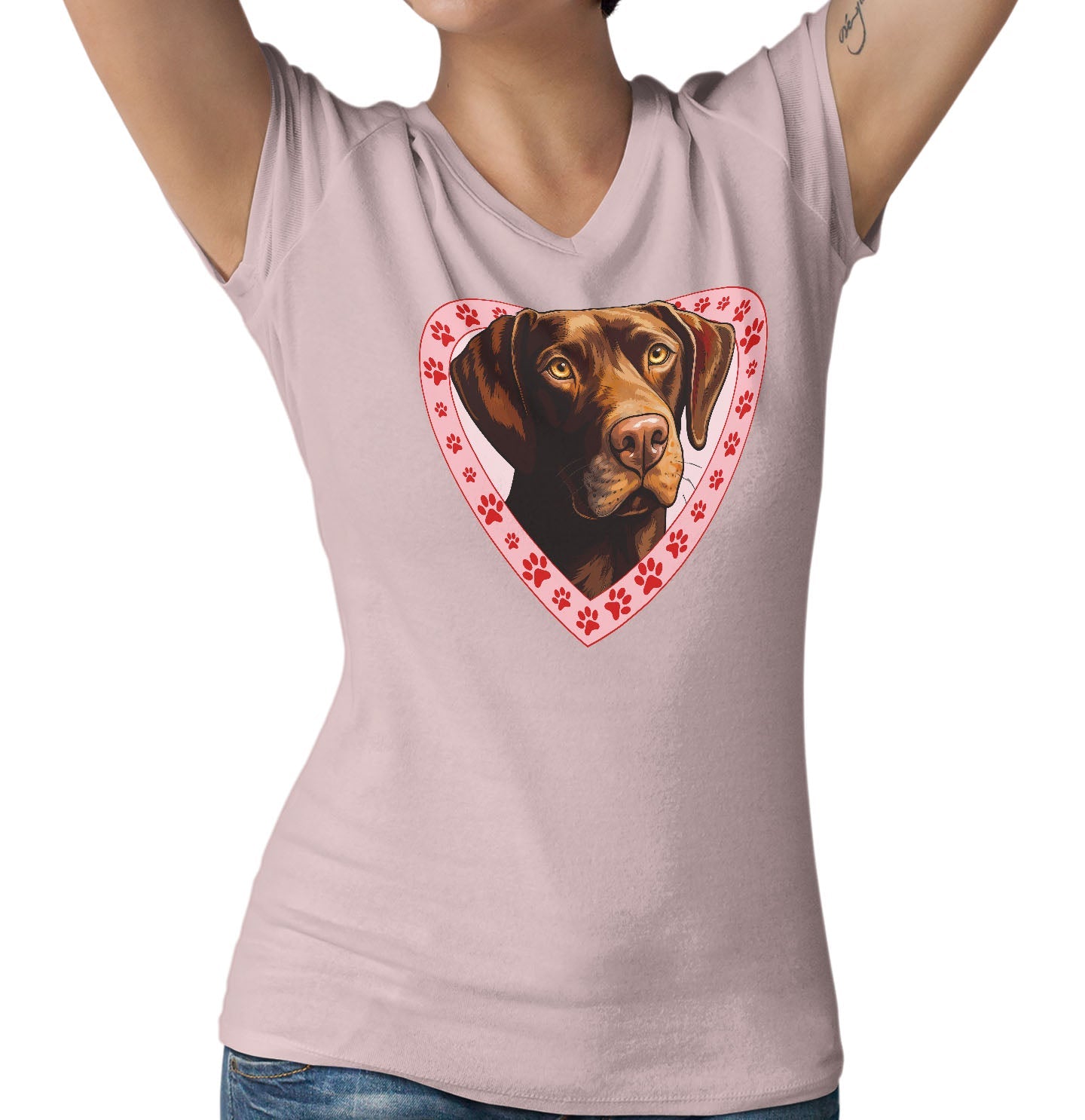 Labrador Retriever (Chocolate) Illustration In Heart - Women's V-Neck T-Shirt