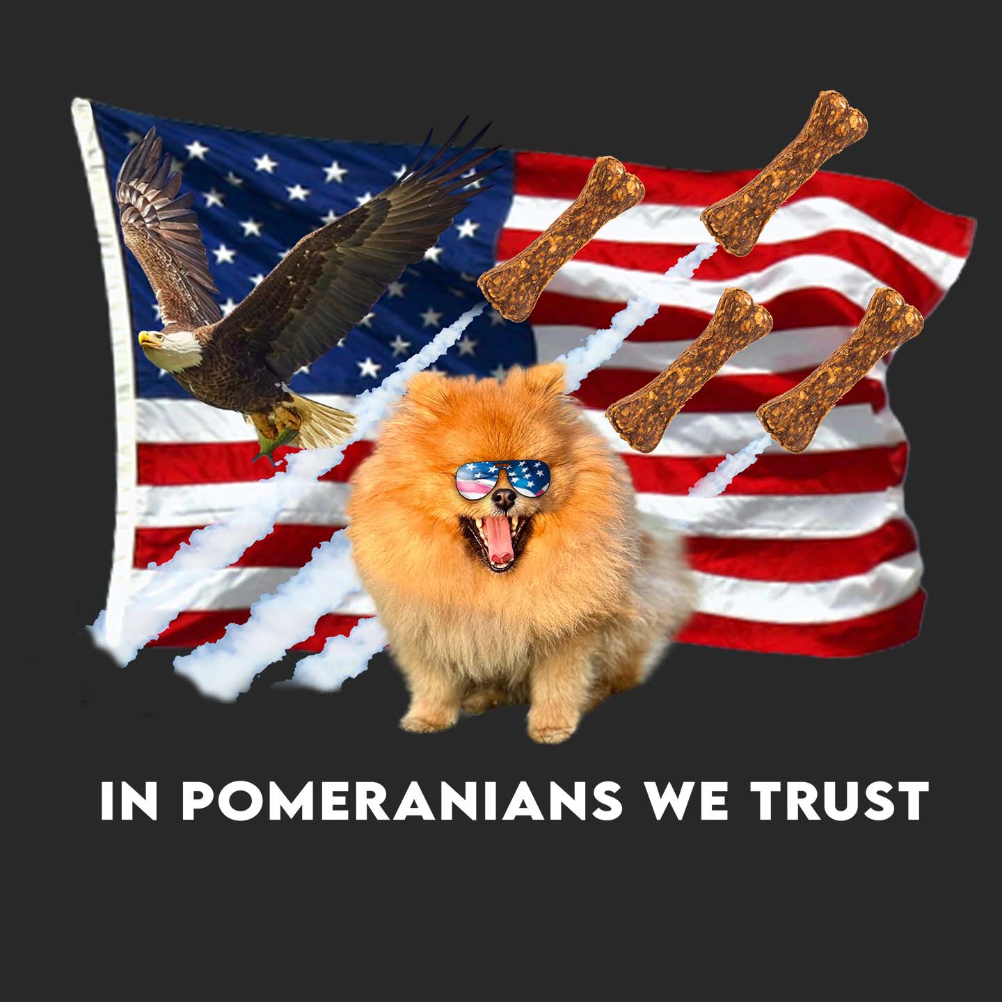 In Pomeranians We Trust - Adult Unisex Hoodie Sweatshirt