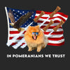 In Pomeranians We Trust - Adult Unisex Hoodie Sweatshirt