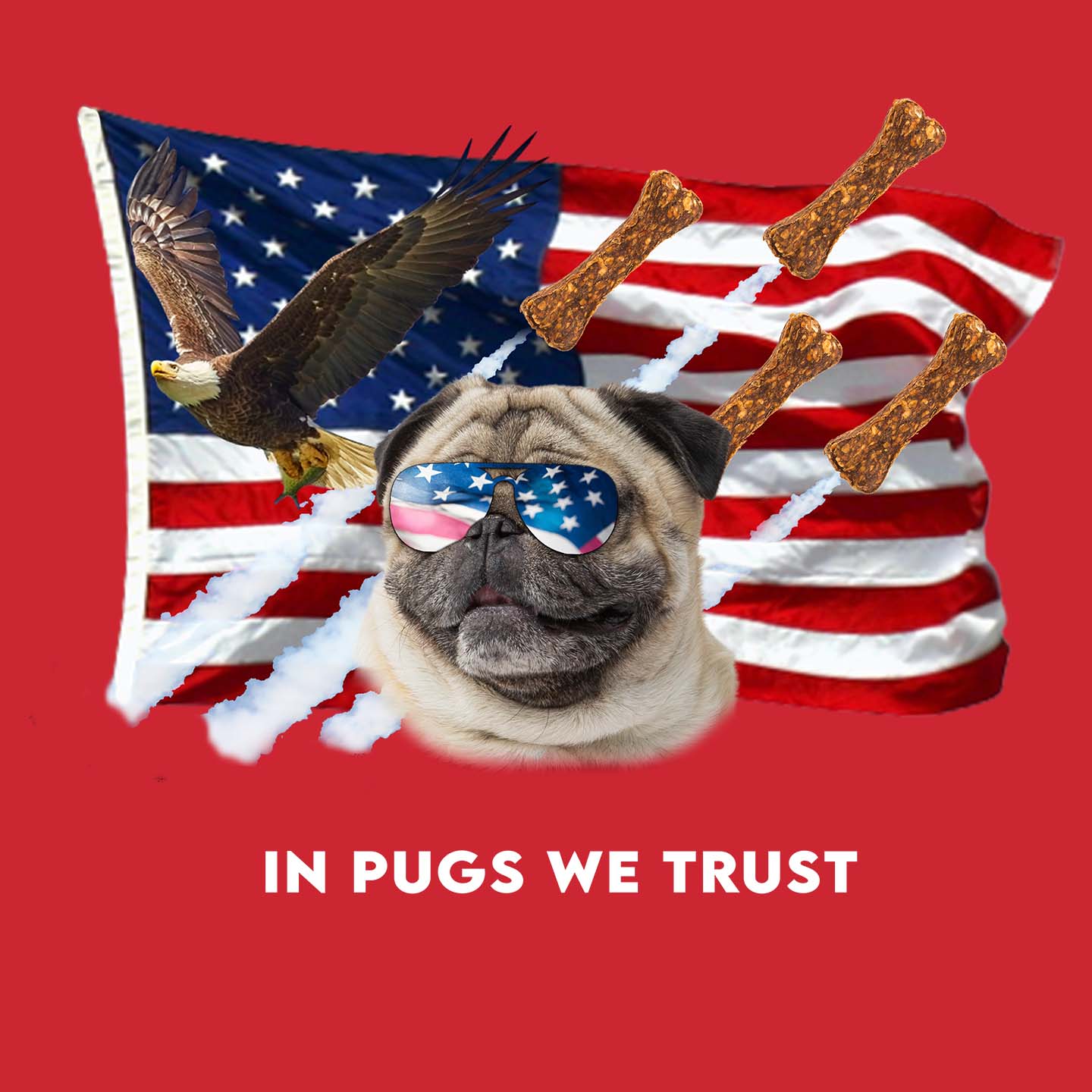 In Pugs We Trust - Adult Unisex T-Shirt