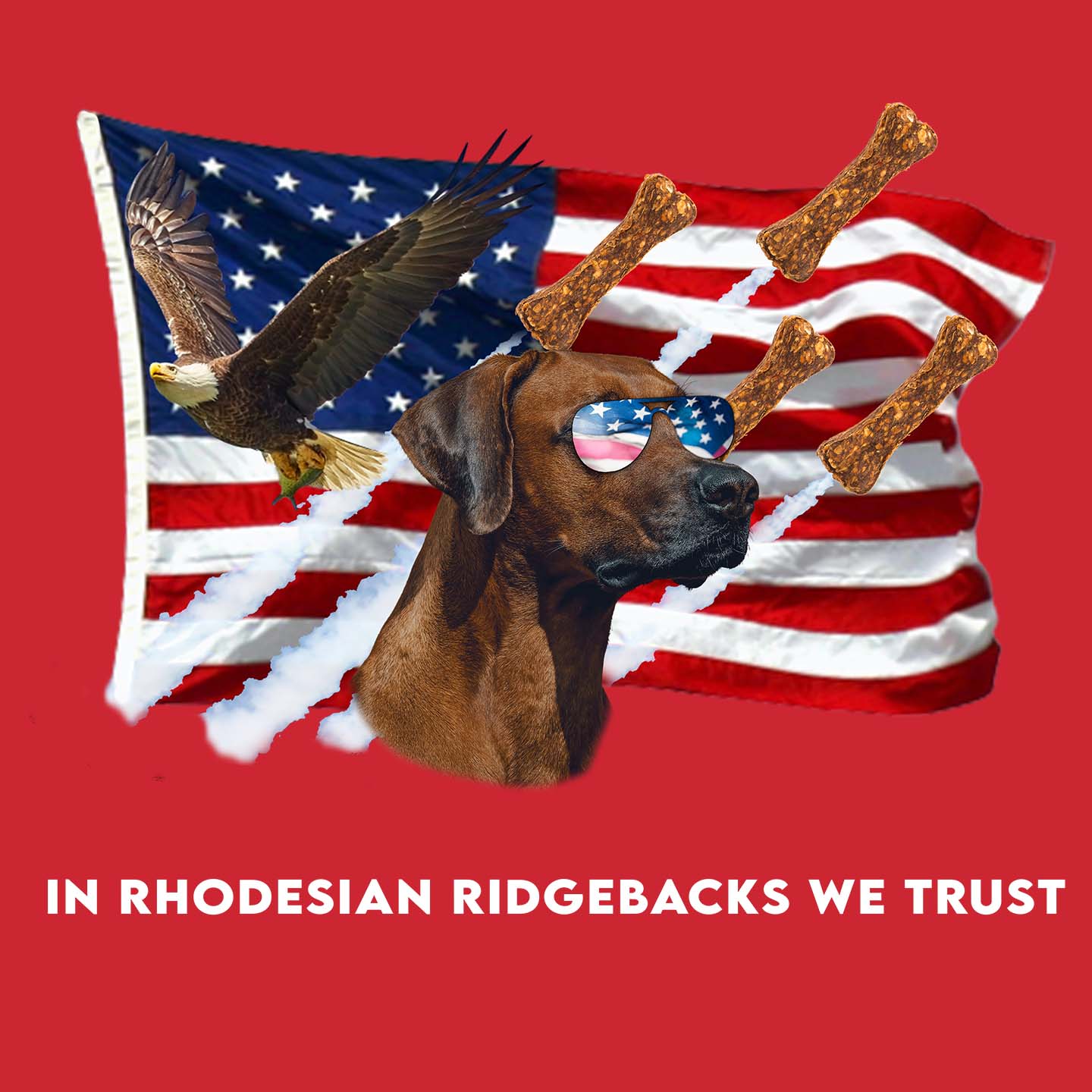 In Rhodesian Ridgebacks We Trust - Adult Unisex T-Shirt