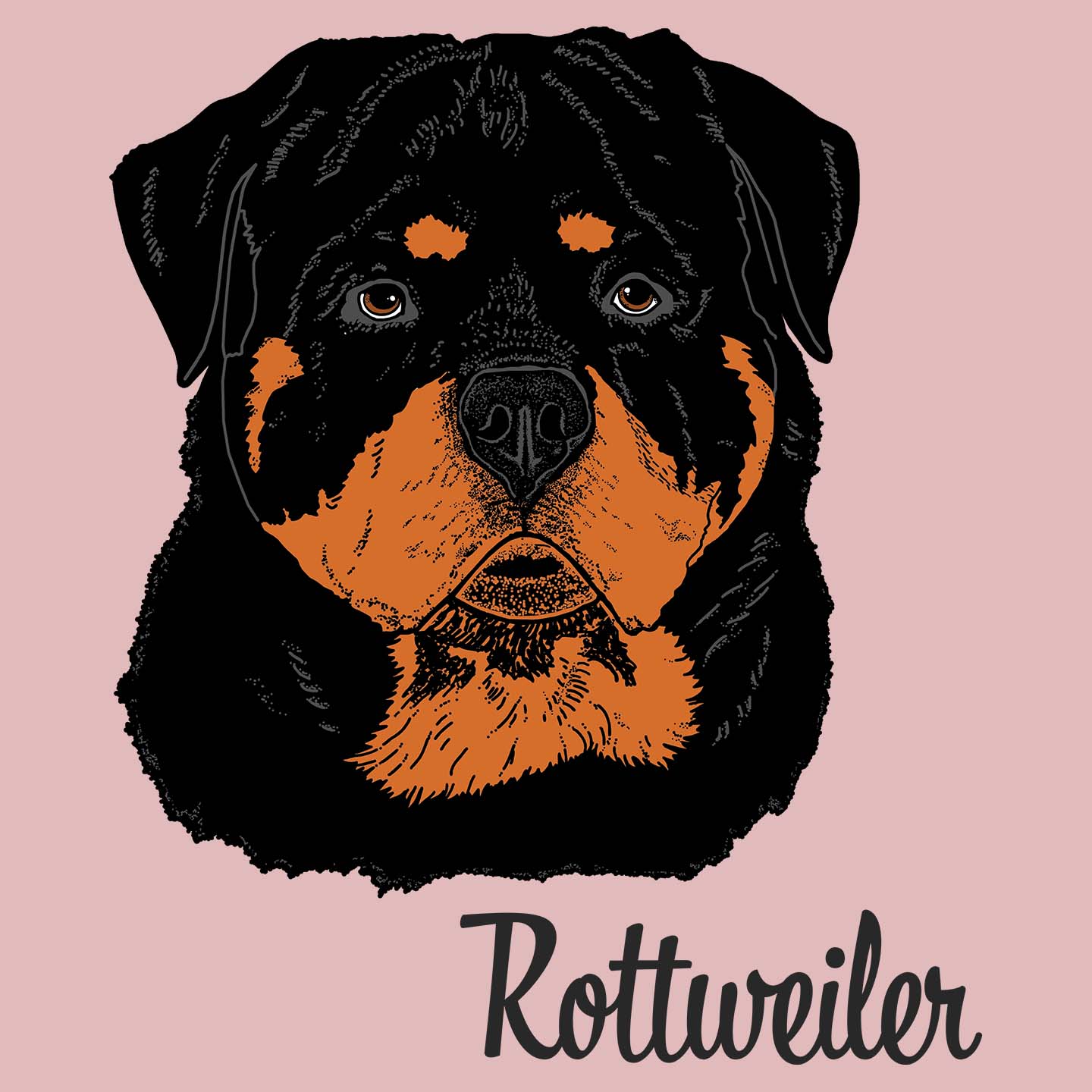 Rottweiler Headshot - Women's Fitted T-Shirt