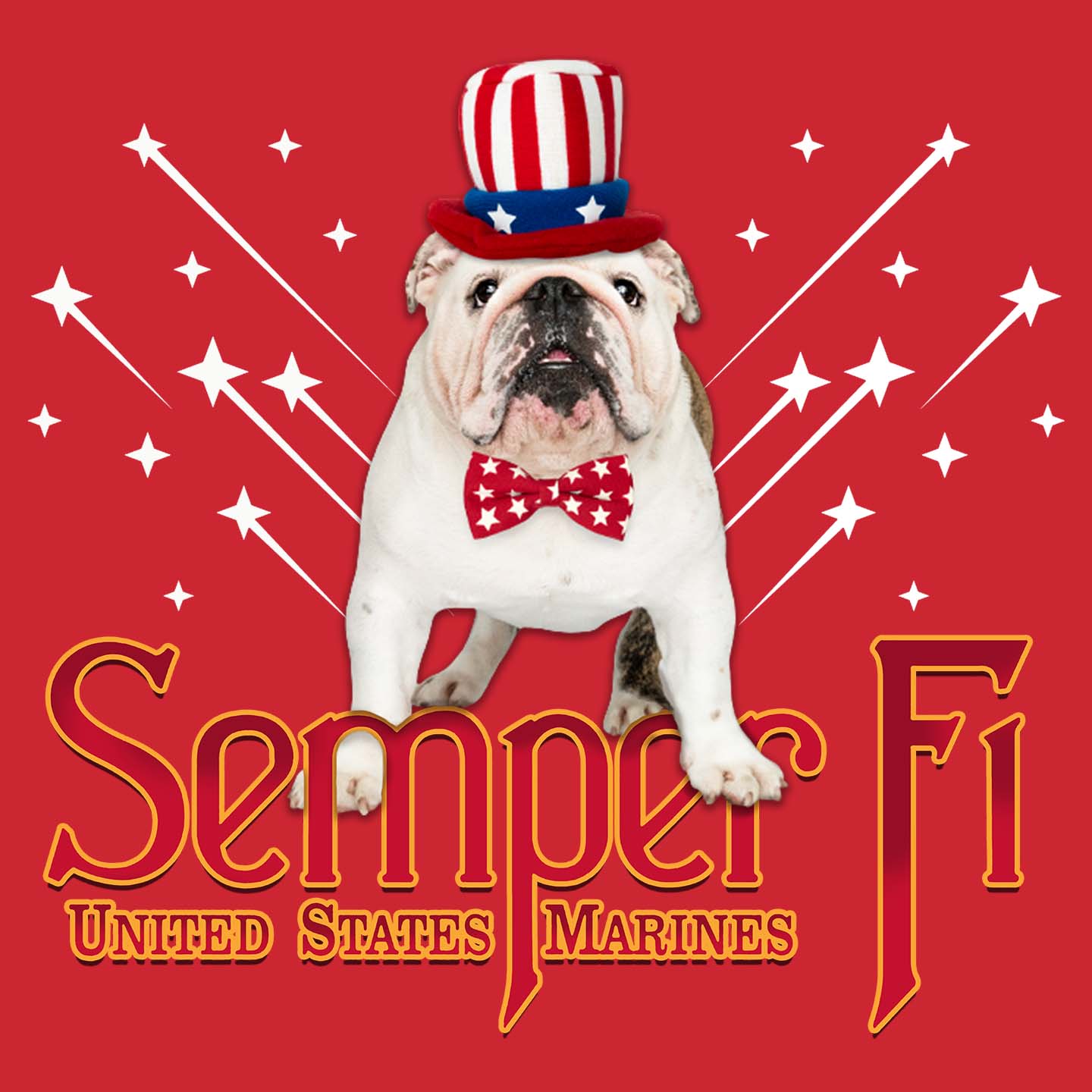 Semper Fi Bulldog - Women's V-Neck T-Shirt