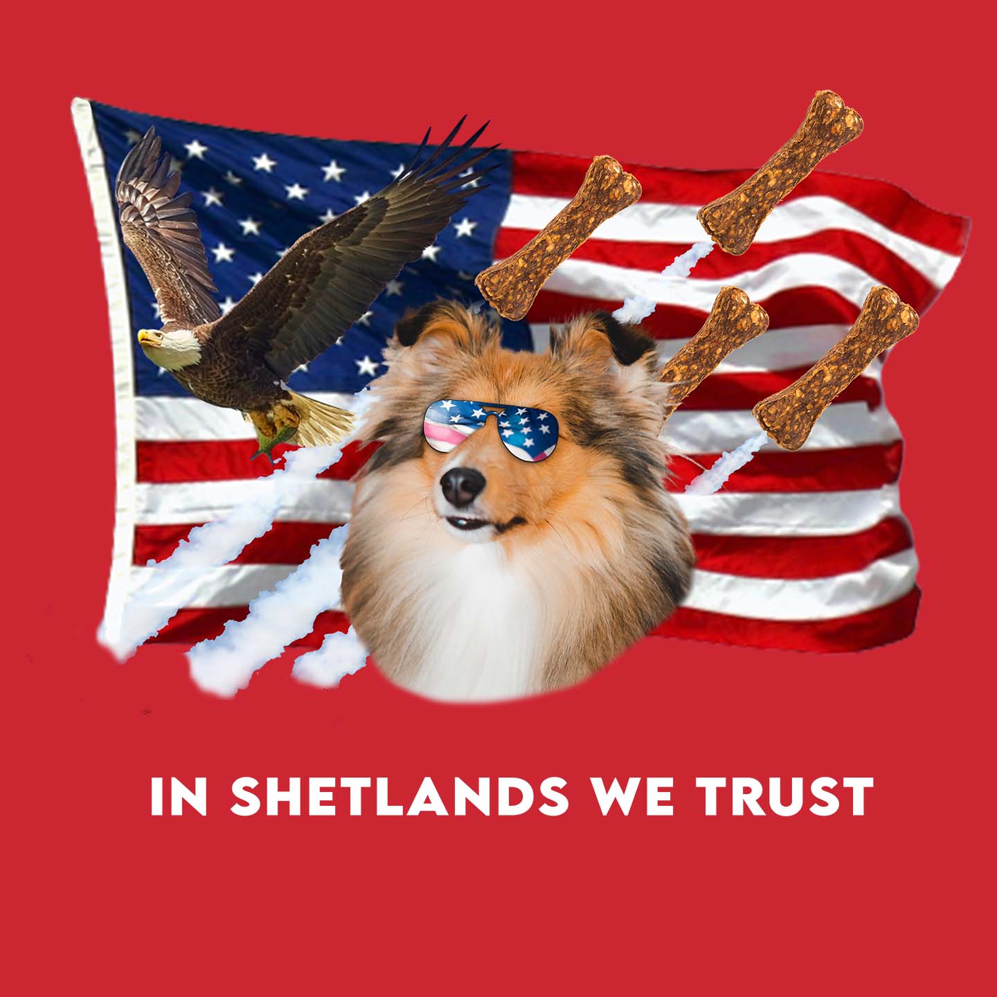 In Shelties We Trust - Adult Unisex T-Shirt