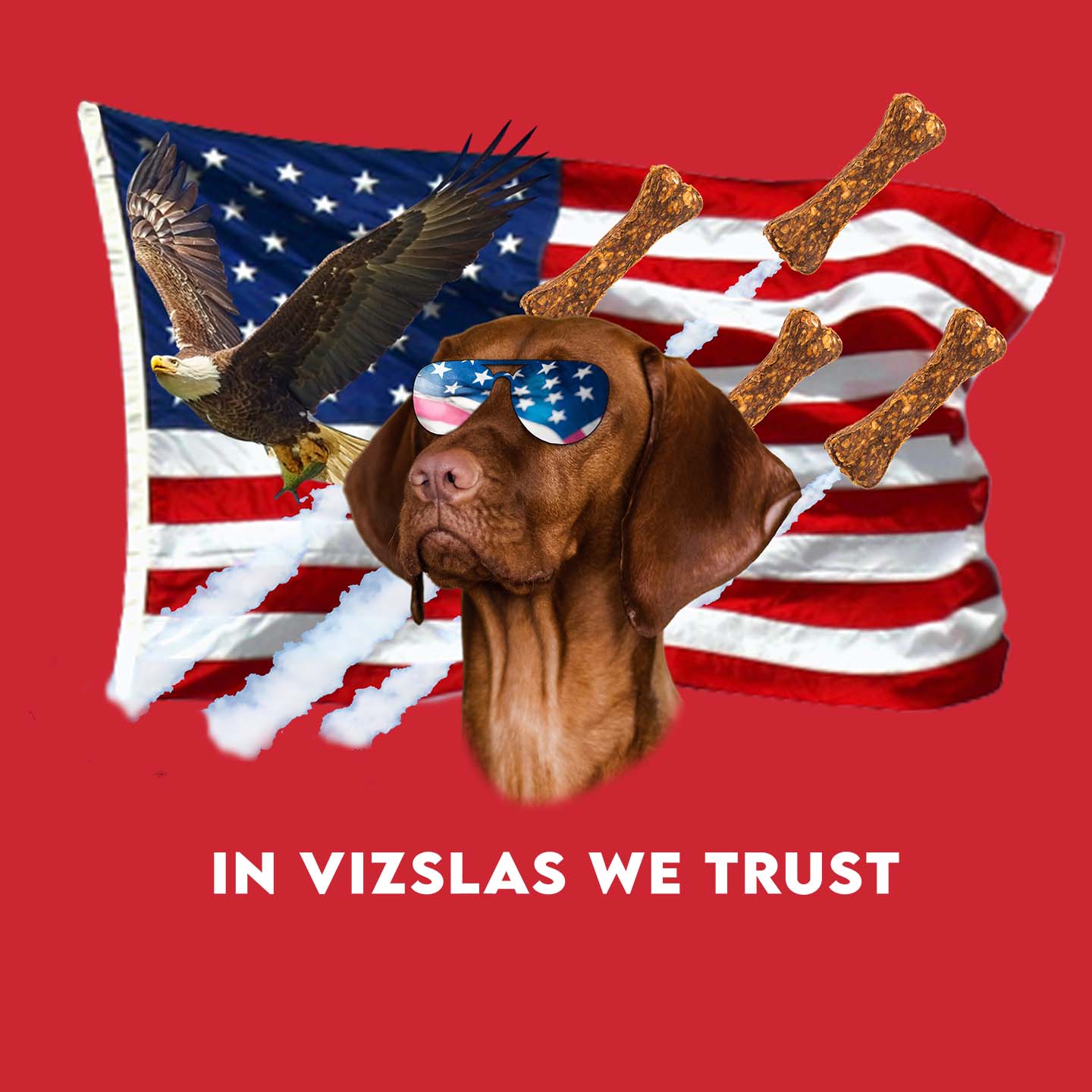 In Vizslas We Trust - Adult Unisex T-Shirt