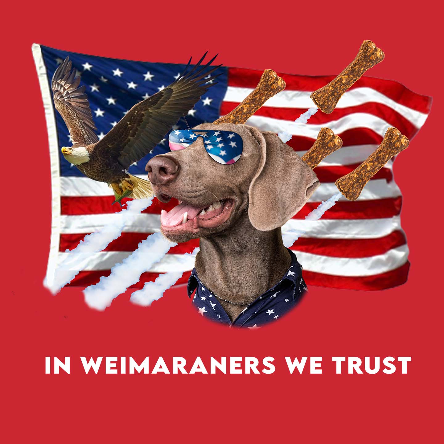 In Weimaraners We Trust - Adult Unisex T-Shirt