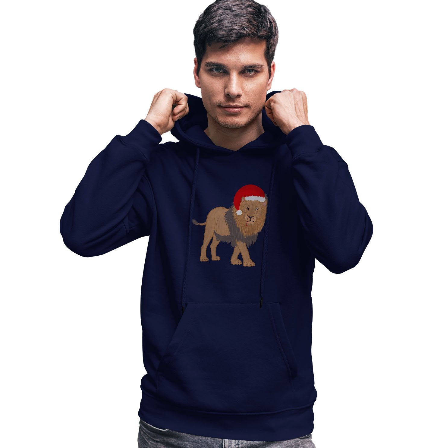 Christmas Lion - Adult Unisex Hoodie Sweatshirt