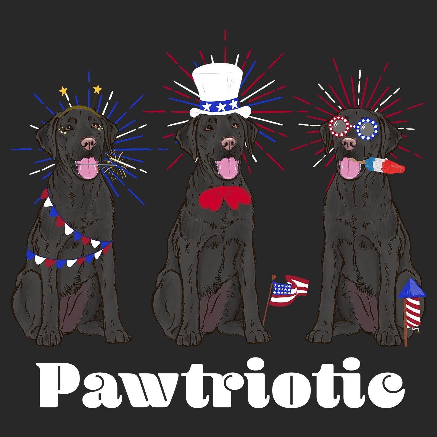 4th of July Lineup Black Lab - Adult Tri-Blend T-Shirt