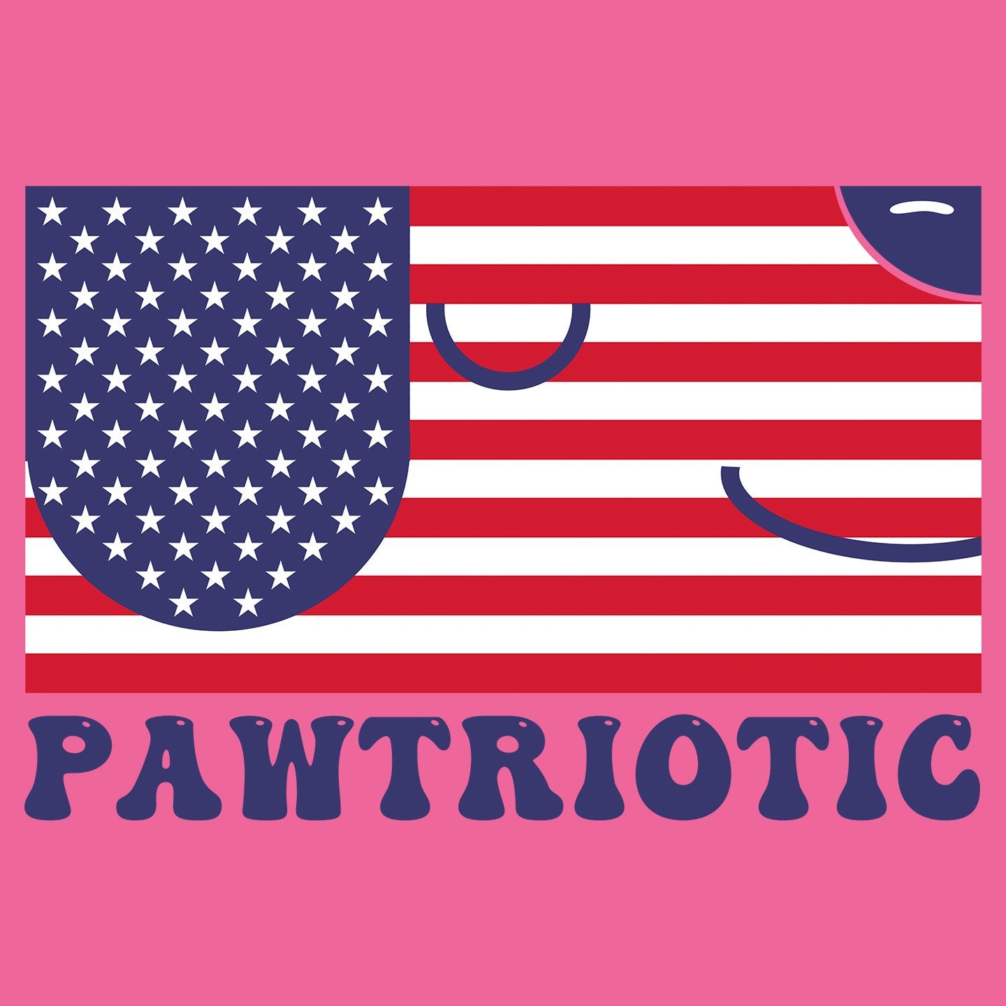 Pawtriotic Flag Dog - Women's Tri-Blend T-Shirt