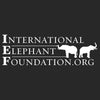 International Elephant Foundation Logo - Adult Adjustable Face Mask