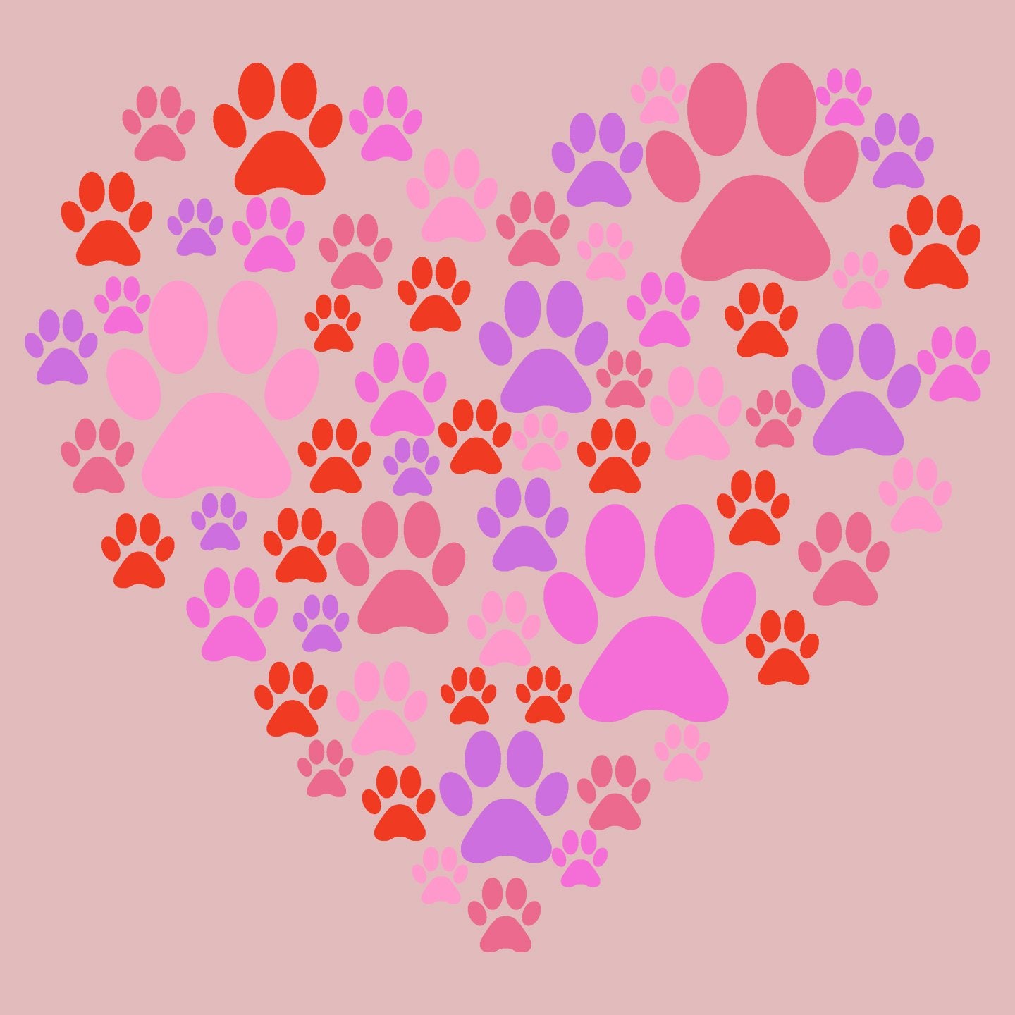 Pink Paw Heart - Women's Fitted T-Shirt