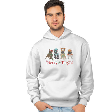 Animal Pride - Frenchie Christmas Line Up - Adult Unisex Hoodie Sweatshirt