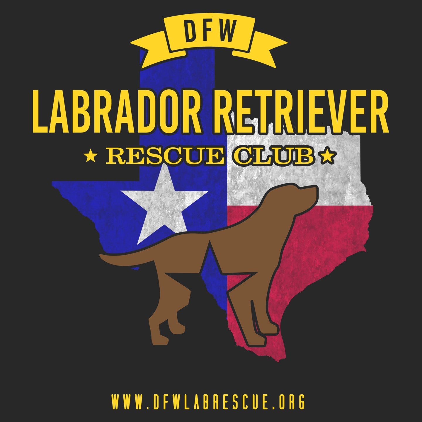 DFW LRRC Texas Flag Chocolate Lab Logo - Adult Unisex T-Shirt