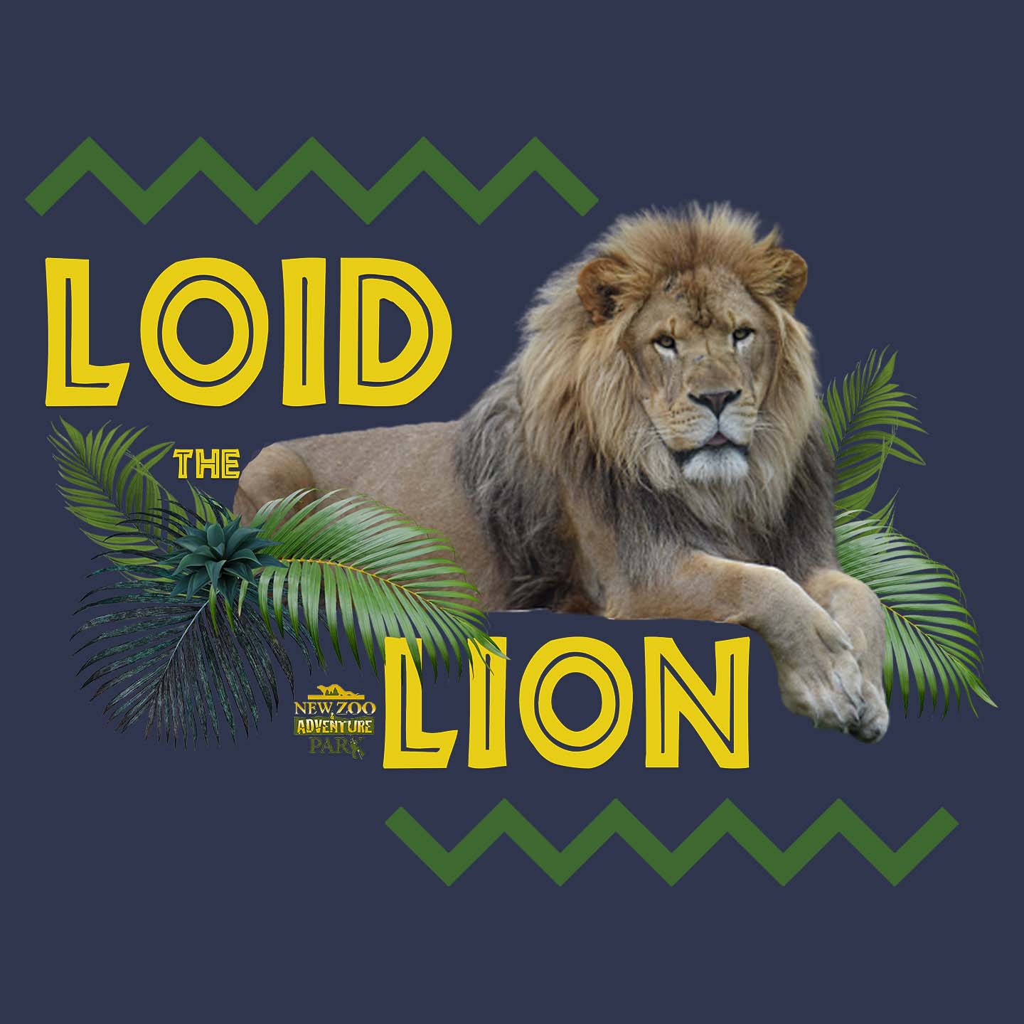 Loid the Lion - Women's Tri-Blend T-Shirt