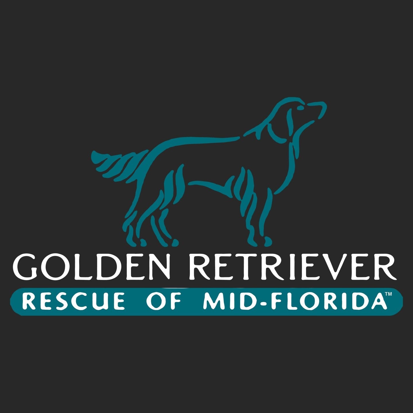 Golden Retriever Rescue of Mid-Florida Logo - Adult Tri-Blend T-Shirt