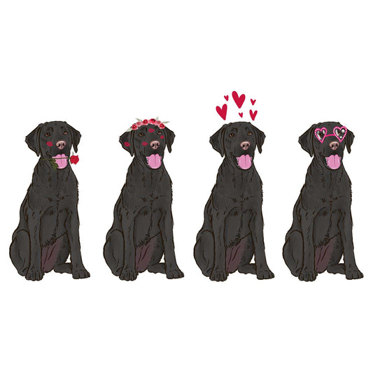 Black Lab Love Line Up - Women's Tri-Blend T-Shirt