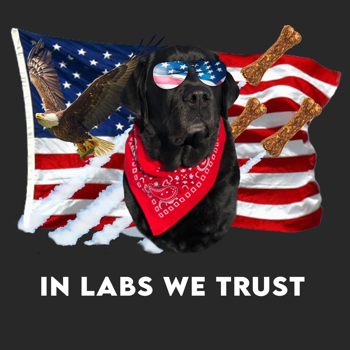 In Lab we Trust Black - Adult Unisex Long Sleeve T-Shirt