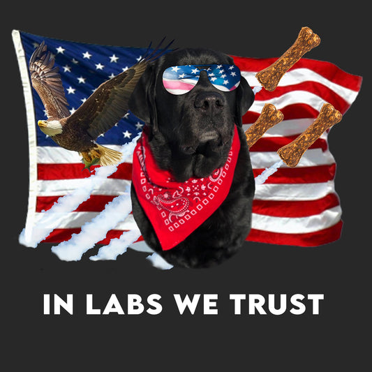 In Lab we Trust Black - Women's V-Neck T-Shirt