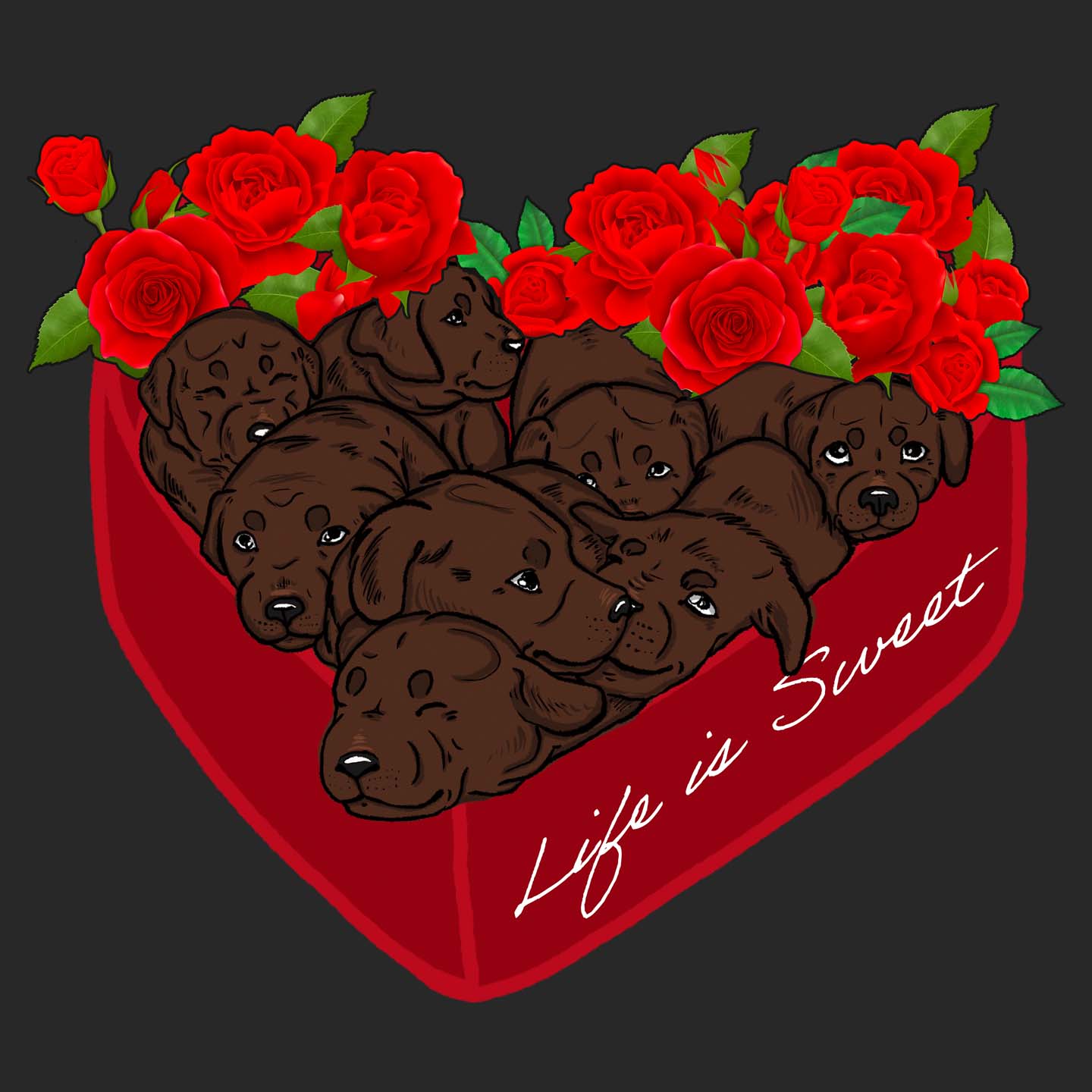 Box of Chocolate Labs - Women's V-Neck T-Shirt