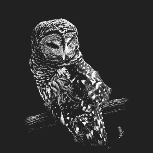 Barred Owl on Black - Kids' Unisex T-Shirt