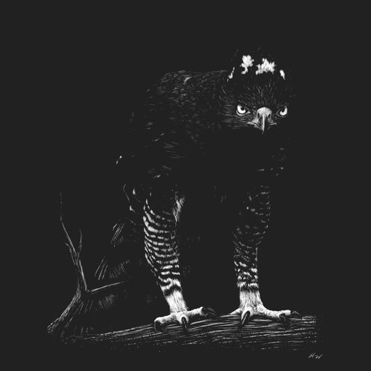 Black Hawk Eagle on Black - Kids' Unisex T-Shirt