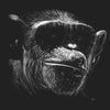 Chimp on Black - Kids' Unisex T-Shirt