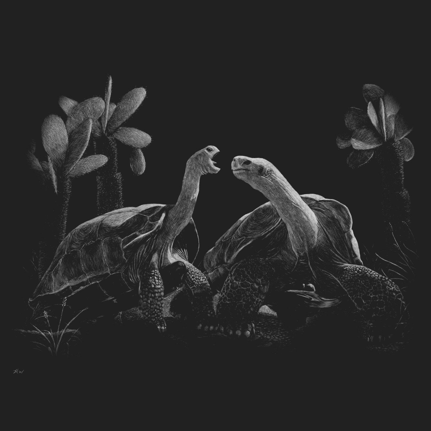 Galapagos Tortoise on Black - Adult Unisex T-Shirt