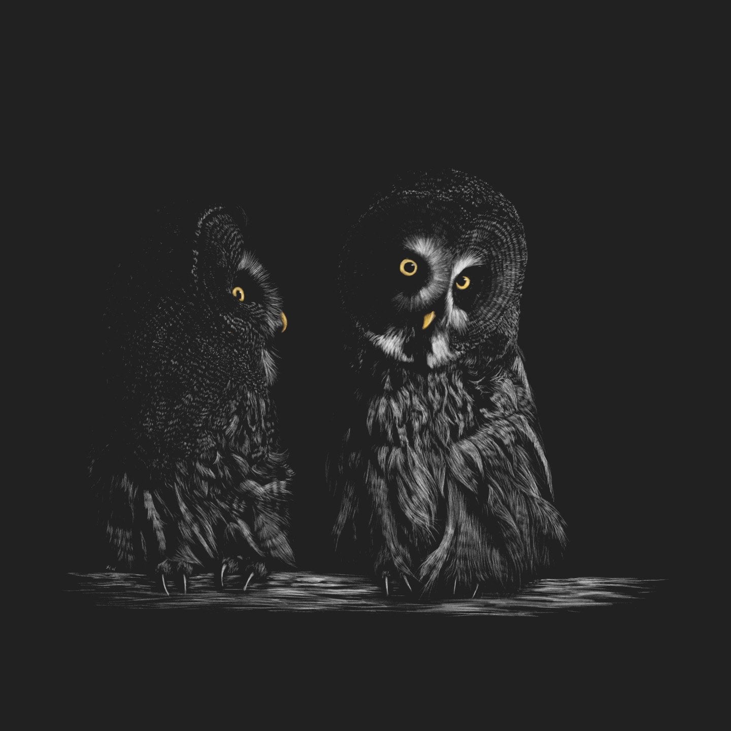 Great Grey Owls on Black - Adult Unisex T-Shirt