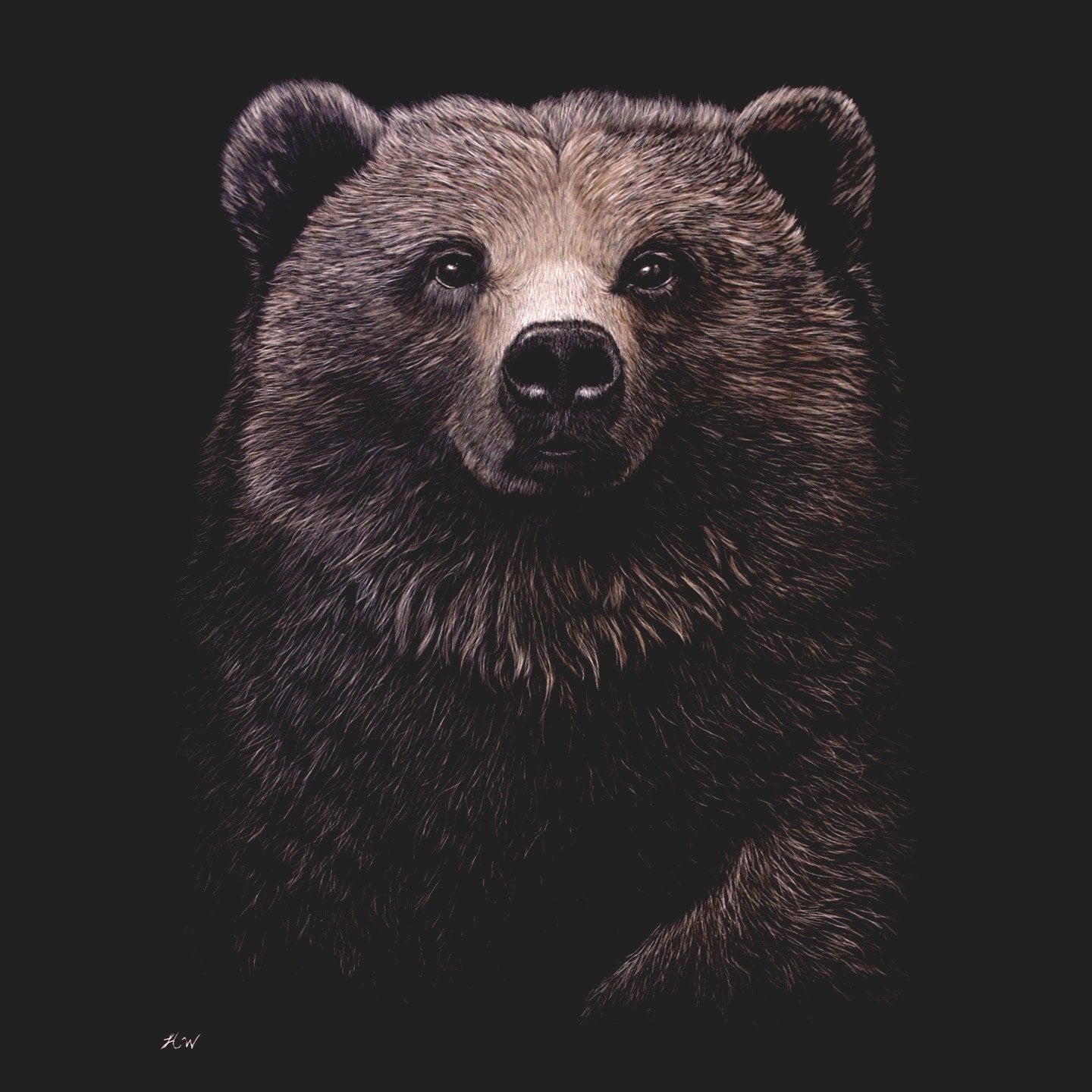 Grizzly Bear on Black - Women's Fitted T-Shirt