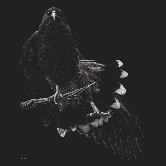 Harris Hawk on Black - Kids' Unisex T-Shirt