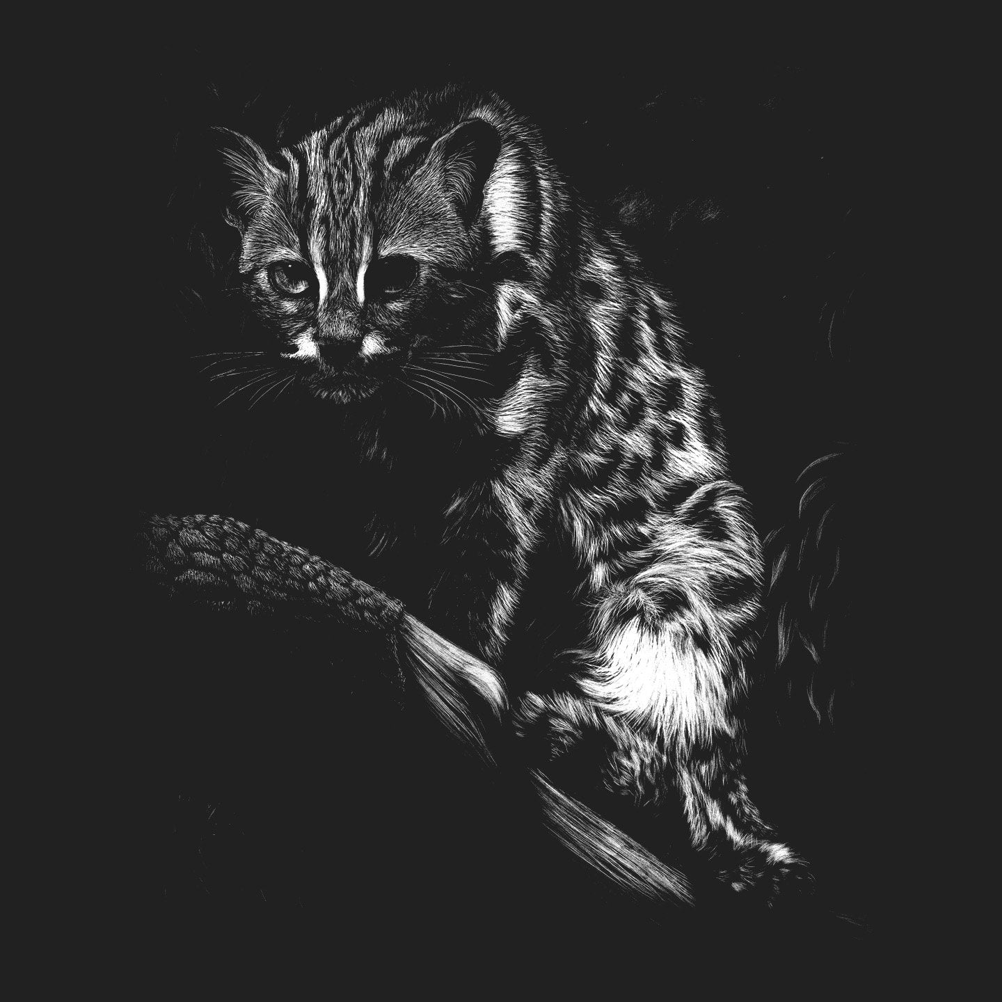 Leopardcat on Black - Women's Fitted T-Shirt