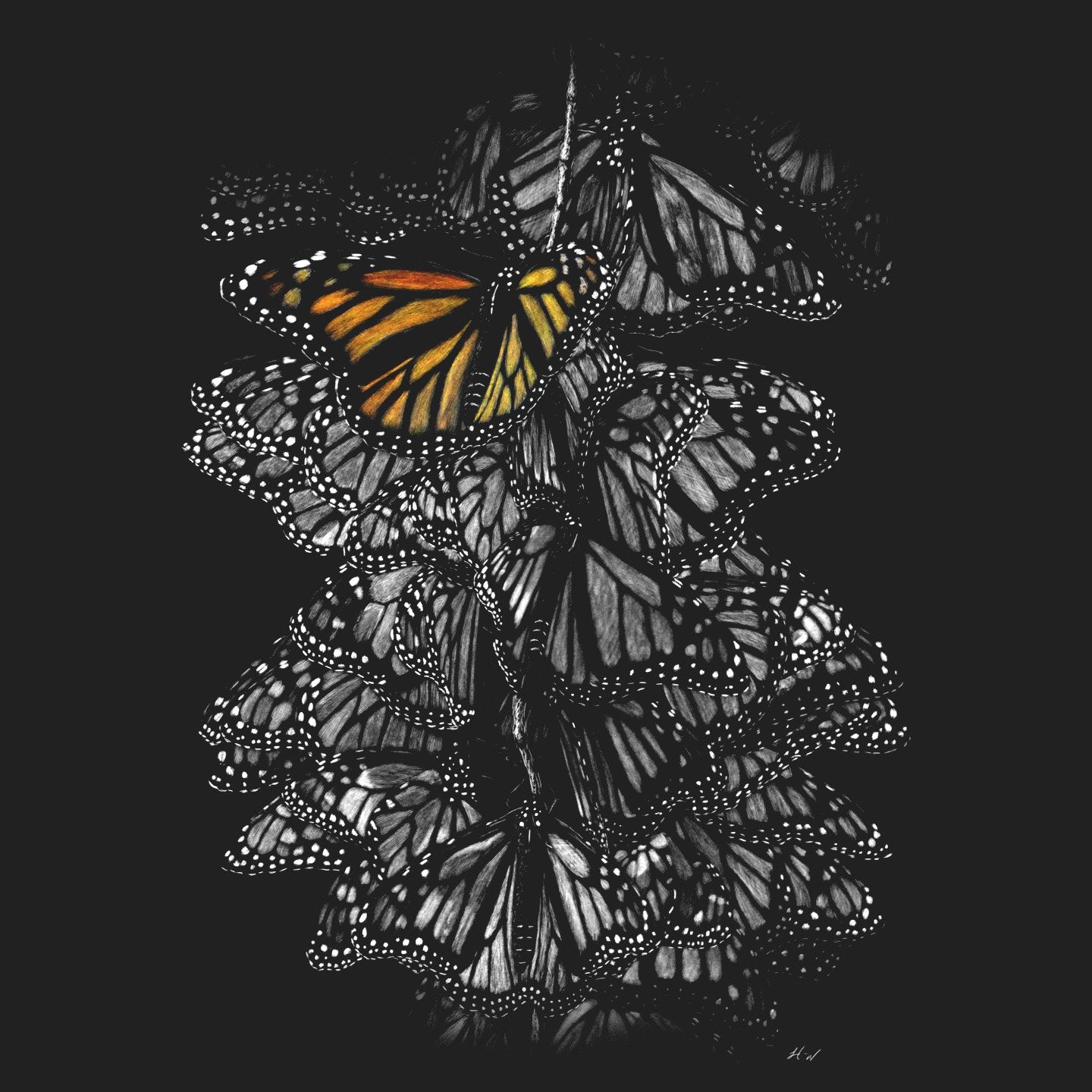 Monarch Butterflies on Black - Women's Fitted T-Shirt