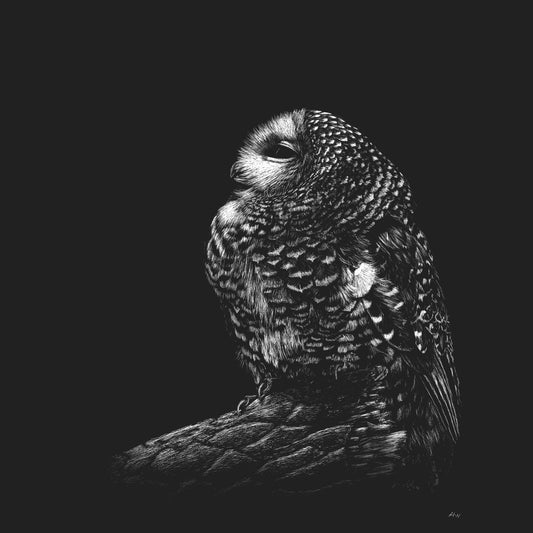Spotted Owl on Black - Kids' Unisex T-Shirt