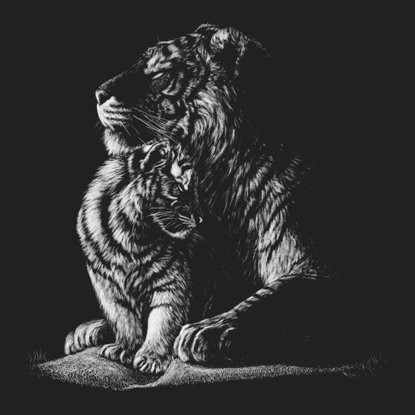 Tiger and Cub on Black - Adult Unisex T-Shirt