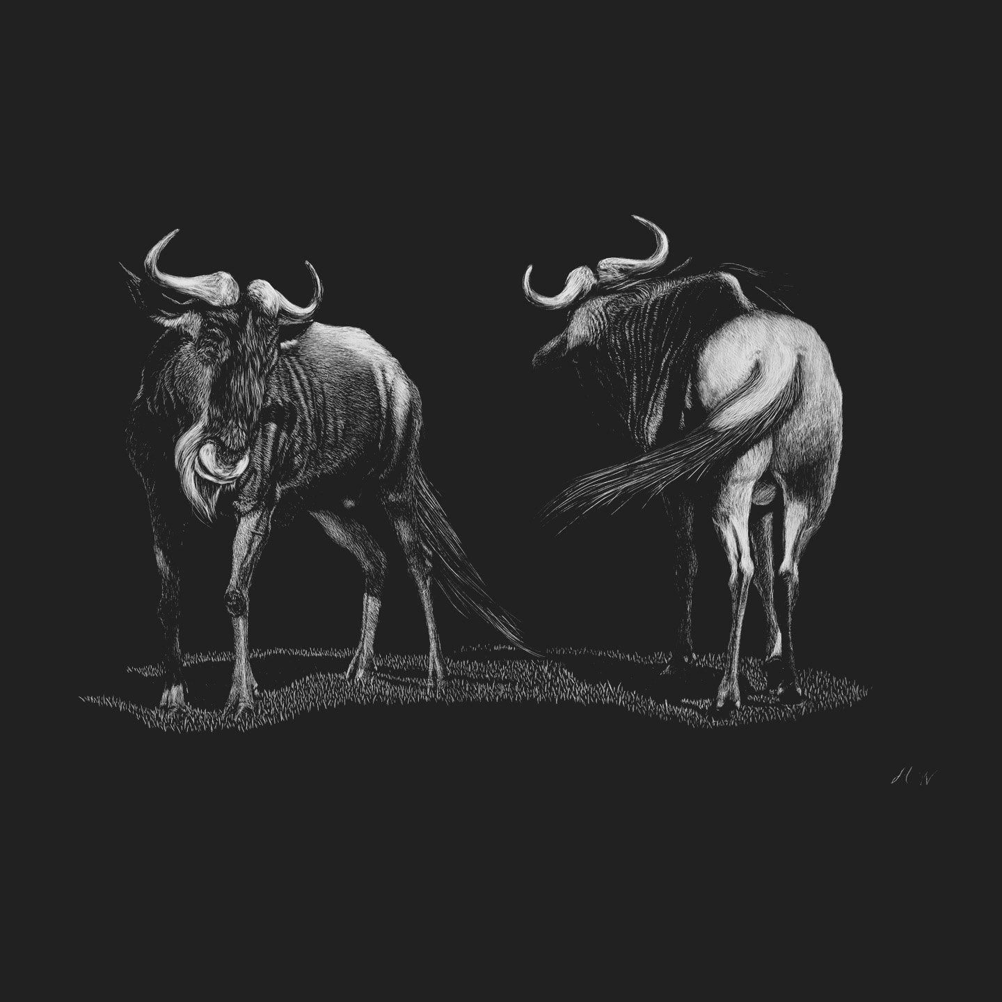 Wildebeest on Black - Adult Unisex T-Shirt